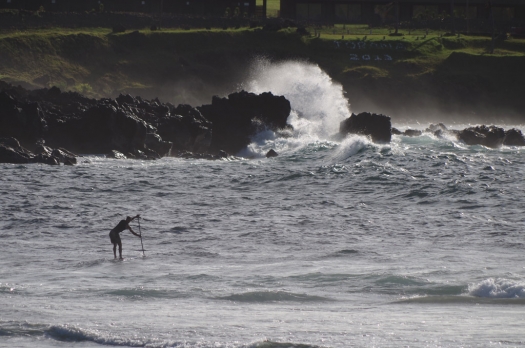 hanga_roa_paddle_boarder.jpg